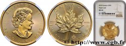 OR D INVESTISSEMENT 50 Dollars  Maple Leaf  Elisabeth II 2020 