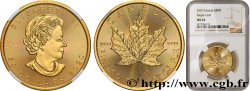 INVESTMENT GOLD 50 Dollars  Maple Leaf  Elisabeth II 2020 