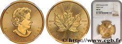 OR D INVESTISSEMENT 50 Dollars Maple Leaf Elisabeth II 2020