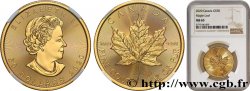 INVESTMENT GOLD 50 Dollars Maple Leaf Elisabeth II 2020