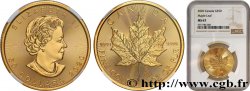 OR D INVESTISSEMENT 50 Dollars Maple Leaf Elisabeth II 2020