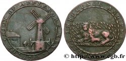 BRITISH TOKENS OR JETTONS 1/2 Penny Appledore (Kent) 1794 