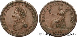 BRITISH TOKENS OR JETTONS 1/2 Penny Wellington 1813 