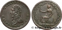 BRITISH TOKENS OR JETTONS 1/2 Penny Wellington 1814 