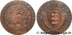 ROYAUME-UNI (TOKENS) 1/2 Penny Winchelsea (Sussex) 1794 