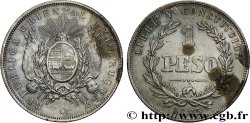 URUGUAY 1 Peso 1895 Buenos Aires