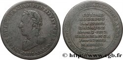 ROYAUME-UNI (TOKENS) 1 Penny Hull, buste de Wellington n.d.