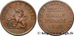 BRITISH TOKENS OR JETTONS 1/2 Penny Hull (Yorkshire), Hull Lead Works 1812 