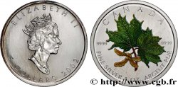 CANADA 5 Dollars (1 once) feuilles d’érables couleurs de printemps 2002 