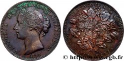 CANADA 1 Penny Token Nova Scotia Victoria 1856 