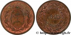 ARGENTINE 1 Decimo Province de Buenos Aires 1823