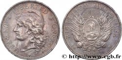 ARGENTINE 1 Peso 1882
