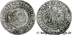 POLOGNE - SIGISMOND Ier LE VIEUX Gros 1534