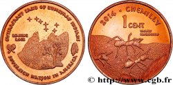 UNITED STATES OF AMERICA - Native Tribes 1 Cent Ewiiaapaayp Band of Kumeyaay Indians 2014 