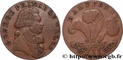BRITISH TOKENS OR JETTONS 1/2 Penny (Essex) Warley Camp 1794 