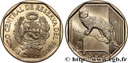 PERU 1 Sol Chat des Andes 2019 Lima