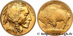 OR, PALLADIUM ET PLATINE INVESTISSEMENT 50 Dollars 1 Oz “American Buffalo” 2015