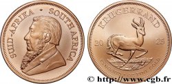 OR, PALLADIUM ET PLATINE INVESTISSEMENT 1 Oz - 1 Krugerrand Paul Kruger 2025 Prétoria