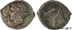 SICILE - SICULO-PUNIQUES - LILYBÉE Tétradrachme à la swastika