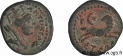 SYRIA, SELEUCIA und PIERIA - ANTIOCHIA - AUGUSTUS Bronze Æ 17