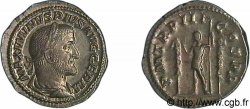 MAXIMINUS I Denier