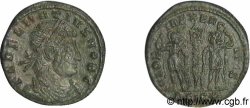 DELMACE Centenionalis ou nummus