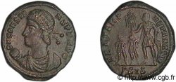CONSTANS Maiorina