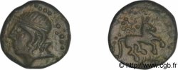 CARNUTES (Région de la Beauce) Bronze au cheval et au sanglier