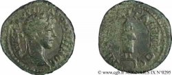 CARACALLA Assarion