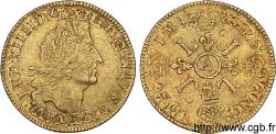 LOUIS XIV LE GRAND OU LE ROI SOLEIL Louis d or aux quatre L 1696 Paris