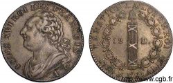 LOUIS XVI (MONARQUE CONSTITUTIONNEL) 12 deniers dit au faisceau , type FRANCOIS 1791 Paris