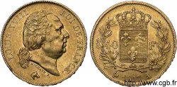 40 francs or Louis XVIII 1817 Paris F.542/6