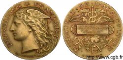 SOCIÉTÉS D AGRICULTURE, HORTICULTURE, PÈCHE ET CHASSE Médaille de récompense de concours agricole Quimper 1893 OR 33, Pommiers