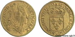 LOUIS XIV LE GRAND OU LE ROI SOLEIL Double louis d or à l écu 1690  Paris