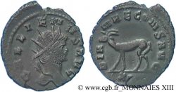 GALLIEN Antoninien