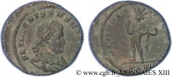 CRISPUS Follis ou nummus
