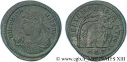 CONSTANS Maiorina