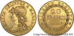 20 francs Marengo 1801 Turin VG.842