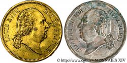 Épreuve uniface d avers de 40 francs or par Michaut n.d. VG.-