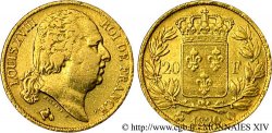 20 francs or Louis XVIII, tête nue 1820 Perpignan F.519/21