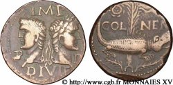NEMAUSUS - NÎMES Dupondius COL NEM (as)