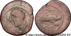 SANTONS / CENTRE-OUEST, Incertaines Bronze ANNICCOIOS (quadrans) au sanglier TB+
