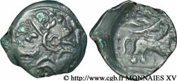 CARNUTES (Région de la Beauce) Bronze COIIAT ou TAIIOC, lion à droite