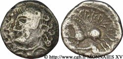 GALLIA BELGICA - SUESSIONES (Regione de Soissons) Denier CRICIRV, variété 1