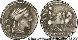 NAEVIA Denier serratus TTB