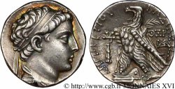 SYRIEN - SELEUKIDISCHES KÖNIGREICH - DEMETRIOS II NIKATOR Tétradrachme