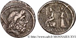NONIA Denier