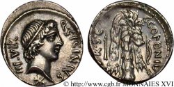 SICINIA Denier