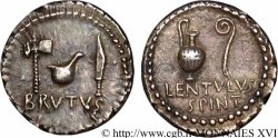 BRUTUS Denier SUP