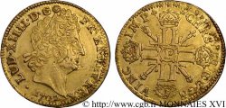 LOUIS XIV THE SUN KING Louis d’or aux 8 L et insignes avec LUD 1702 Dijon